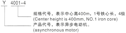 西安泰富西玛Y系列(H355-1000)高压YJTFKK5602-4三相异步电机型号说明