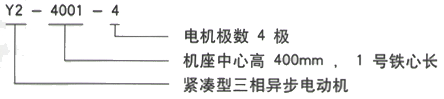 YR系列(H355-1000)高压YJTFKK5602-4三相异步电机西安西玛电机型号说明